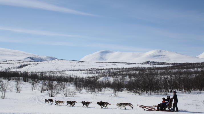 Dog sledding-Abisko-Dog Sledding in the Arctic in Abisko-2