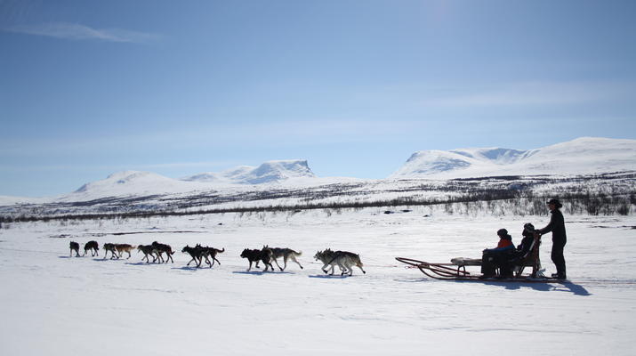 Dog sledding-Abisko-Dog Sledding in the Arctic in Abisko-3